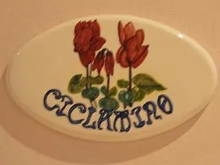 Отель Corte Regina